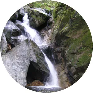 Sonoma Creek - Stream in California