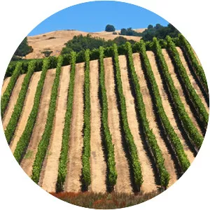 Sonoma Valley - Valley in California