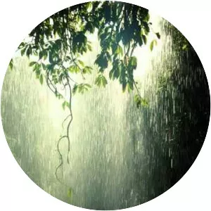 ocean sounds sons da natureza