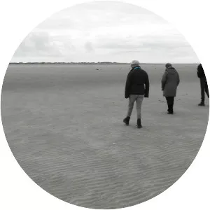 Søren Jessens Sand - 