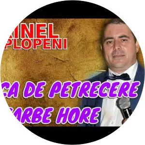 Sorinel de la Plopeni - Musical artist