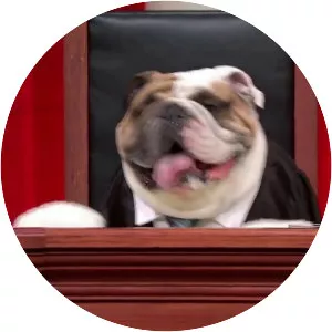 Sorrell v. IMS Health Inc.