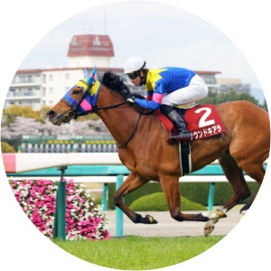 Sound Chiara - Organism