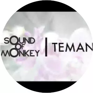 Sound Of Monkey - Musical artist