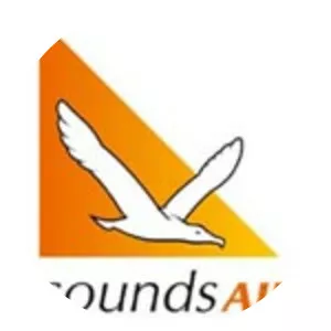 Sounds Air