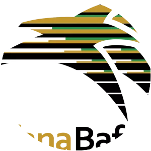 South Africa national football team