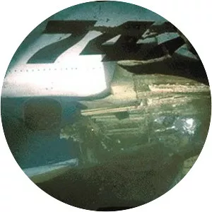 South African Airways Flight 295