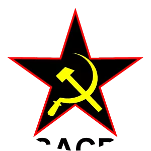 South African Communist Party - Political party