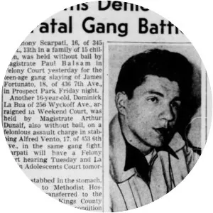 South Brooklyn Boys - Gang