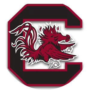 South Carolina Gamecocks football