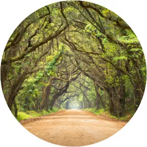 South Carolina Lowcountry