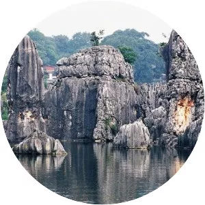 South China Karst - 