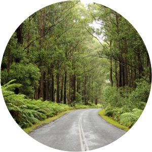 South East Forest National Park