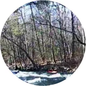 South Fork Holston River