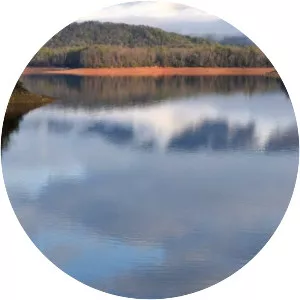 South Holston Lake - 