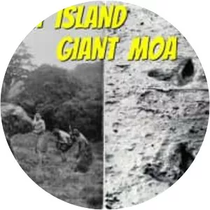 South Island giant moa