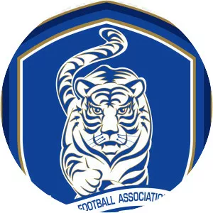 South Korea national football team