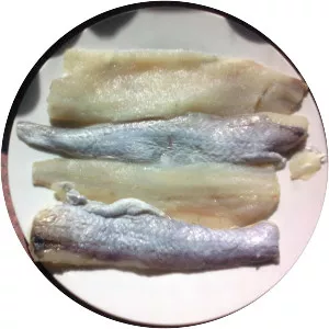 Southern blue whiting