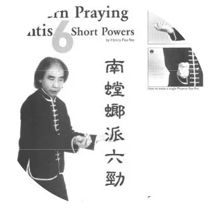 Southern Praying Mantis