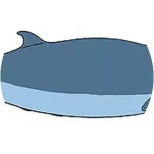 Sowerby's beaked whale