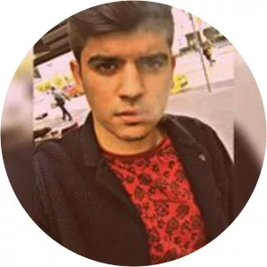 Sözer Sepetci - Musical artist