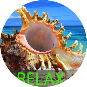 relaxing piano music spa music - Musical artist