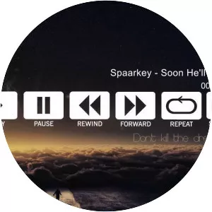 Spaarkey - Musical artist