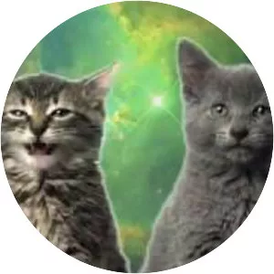 Space Cats