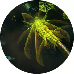 Sparkle 2 Evo - Video game