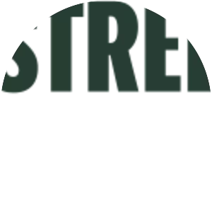 SPDR S&P 500 Trust ETF
