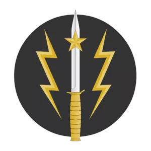 Special Service Group