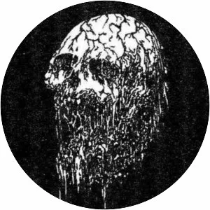 Spectral Voice - Musical group