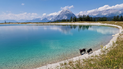 Speicherteich Gschwandtkopf - Hiking area in Telfs, Austria
