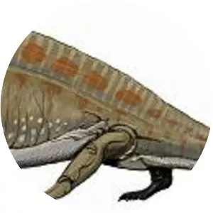 Sphenacodon