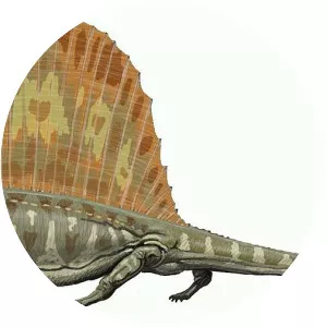Sphenacodontidae