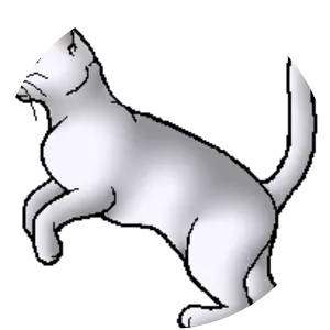 Spider Paw - Fictional character