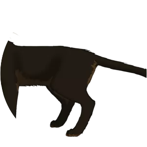 Spiderleg - Fictional character