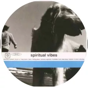 Spiritual Vibes - Musical group