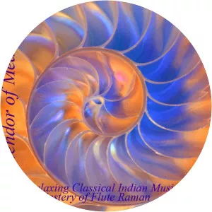 Splendor of Meditation - Musical artist