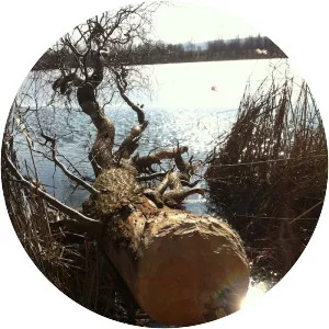 Sporbitzer Kiesgrube