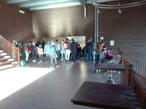 Sport Club do Porto - Sports school in Porto, Portugal