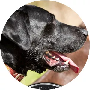 Sporting Dog Adventures - TV program