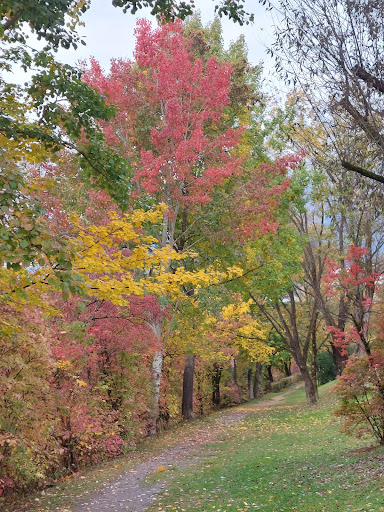 Sportplatz Innpromenade