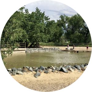 Spring Canyon Dog Park