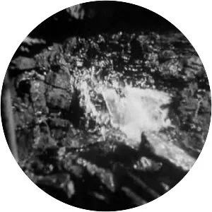 Springhill mining disaster - 