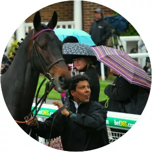 Sprinter Sacre