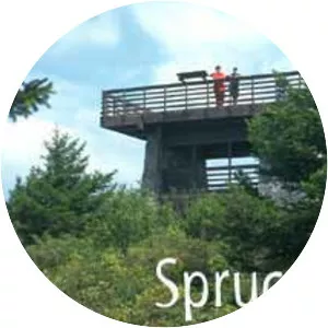 Spruce Knob - Summit in West Virginia