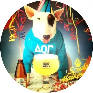 Spuds MacKenzie - Fictional character