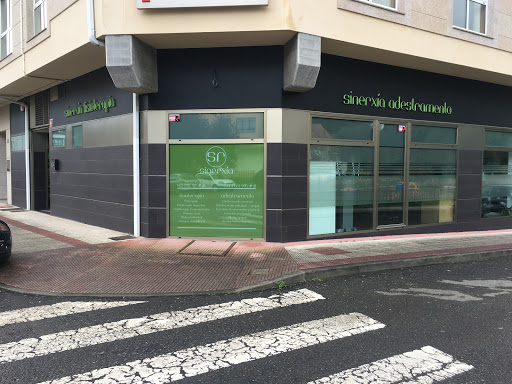 Sr Sinerxia fisioterapia e adestramento - Physical therapy clinic in Spain