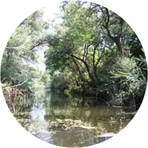 Sredetska - River in Bulgaria